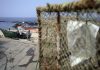 Pescadores estão a diminuir e só no Algarve número caiu para metade em 16 anos