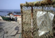 Pescadores estão a diminuir e só no Algarve número caiu para metade em 16 anos