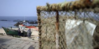 Pescadores estão a diminuir e só no Algarve número caiu para metade em 16 anos
