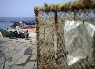 Pescadores estão a diminuir e só no Algarve número caiu para metade em 16 anos