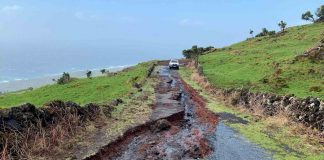 Governo dos Açores trabalha na reposição das condições de circulação em caminhos rurais e florestais