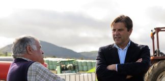 Governo dos Açores já aprovou 90% das candidaturas recebidas para apoio às perdas de culturas devido à seca