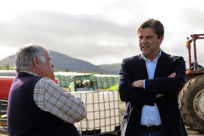 Diretor Regional da Agricultura
