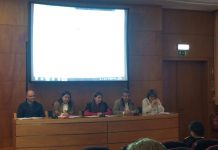 Observação de cetáceos – Alterações à regulamentação pretende tornar atividade mais sustentável