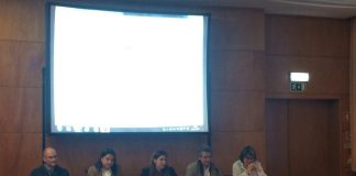 Observação de cetáceos – Alterações à regulamentação pretende tornar atividade mais sustentável