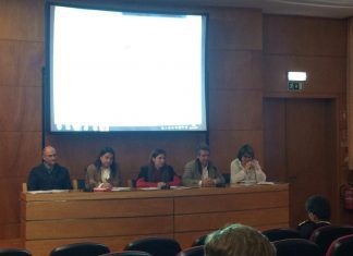 Observação de cetáceos – Alterações à regulamentação pretende tornar atividade mais sustentável