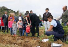 Vasco Cordeiro assinala Dia da Floresta com visita a atividades de sensibilização ambiental