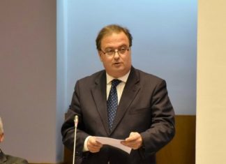 António Almeida questiona Governo sobre apoios a organizações de agricultores