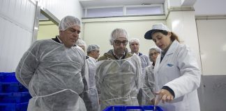 Bradford assume defesa de equilíbrio entre sustentabilidade e rendimento dos pescadores no PE