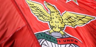 Lucro da Benfica SAD baixa 27% para 14 ME no primeiro semestre