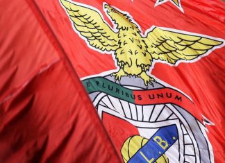 Lucro da Benfica SAD baixa 27% para 14 ME no primeiro semestre