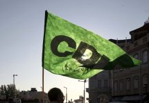 Europeias: Escritora Ana Margarida Carvalho é a mandatária da lista da CDU