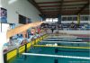 CNH – Festival Regional de Cadetes reúne 9 equipas e 95 nadadores, no Faial