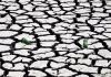 Falta de chuva prejudica agricultura mas é “variação normal”, diz especialista
