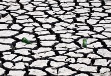 Falta de chuva prejudica agricultura mas é “variação normal”, diz especialista