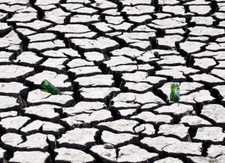 Falta de chuva prejudica agricultura mas é “variação normal”, diz especialista
