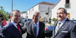 Primeiro-ministro ambiciona transformar ameaça da floresta numa fonte de riqueza