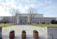 Diretora da Biblioteca Nacional Maria Inês Cordeiro reconduzida no cargo