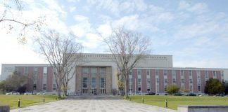 Diretora da Biblioteca Nacional Maria Inês Cordeiro reconduzida no cargo