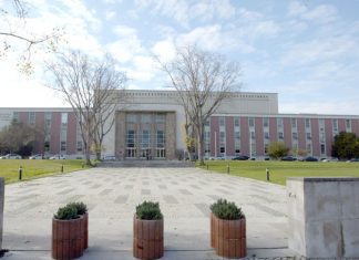 Diretora da Biblioteca Nacional Maria Inês Cordeiro reconduzida no cargo