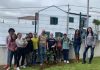 CM da Lagoa reformula rotunda no Dia Mundial da Árvore
