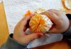 Bruxelas dá 5,5 milhões de euros a Portugal para distribuir fruta e leite nas escolas em 2019-2020