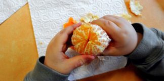 Bruxelas dá 5,5 milhões de euros a Portugal para distribuir fruta e leite nas escolas em 2019-2020