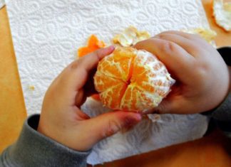 Bruxelas dá 5,5 milhões de euros a Portugal para distribuir fruta e leite nas escolas em 2019-2020