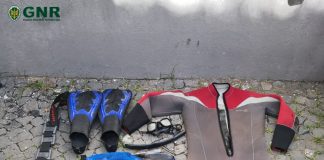 GNR Açores | Pico e Faial – Apreensão de 33 quilos de lapas