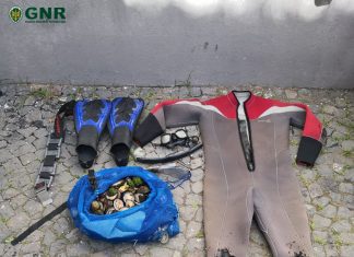 GNR Açores | Pico e Faial – Apreensão de 33 quilos de lapas