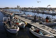 Primeiro-ministro anuncia investimento de 23 milhões para o setor das pescas