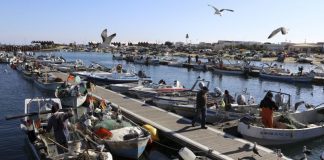 Primeiro-ministro anuncia investimento de 23 milhões para o setor das pescas