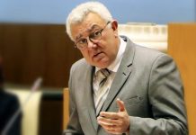 CDS defende Serviço Regional de Saúde humanizado