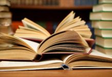 Djaimilia Pereira de Almeida vence Prémio Literário Fundação Inês de Castro 2018