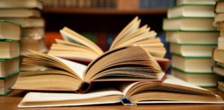Djaimilia Pereira de Almeida vence Prémio Literário Fundação Inês de Castro 2018