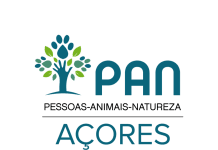 PAN/Açores quer manutenção da isenção de IRS