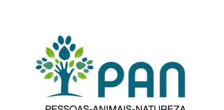 PAN/Açores quer alterar o valor das horas extraordinárias médicas