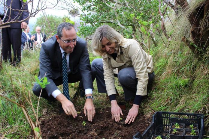 Marta Guerreiro