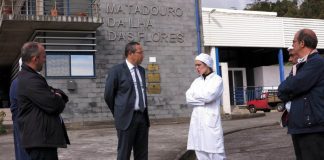Governo dos Açores pretende concluir este ano certificação do Matadouro das Flores
