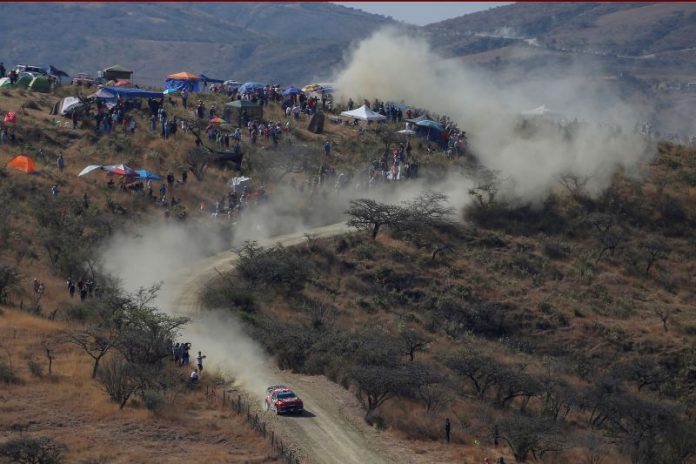 Ogier