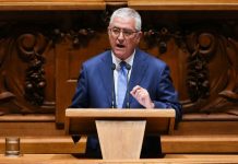 Violência doméstica: PSD quer agravar moldura penal e restringir penas suspensas