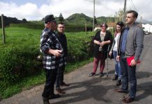 “Percorrer o Faial” PSD quer ouvir a população