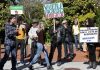 Dezenas de manifestantes em Pedrógão Grande recebidos com resistência verbal de residentes
