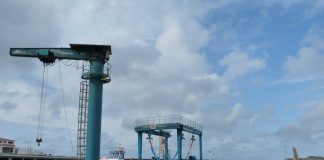 Federação das Pescas reivindica melhores serviços para os Armadores dos Açores na DGRM