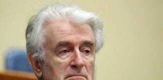 Tribunal de Haia pronuncia-se hoje sobre veredicto final de Radovan Karadzic