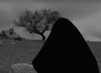 Prémios Sophia: “Raiva” é o Melhor Filme português de 2018