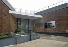 Antiga presidente da associação Raríssimas deve 350 mil euros à instituição