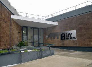 Antiga presidente da associação Raríssimas deve 350 mil euros à instituição