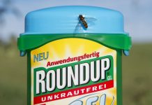 Monsanto vai pagar indemnização de 81 milhões de dólares por cancro ligado ao Roundup