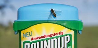 Monsanto vai pagar indemnização de 81 milhões de dólares por cancro ligado ao Roundup